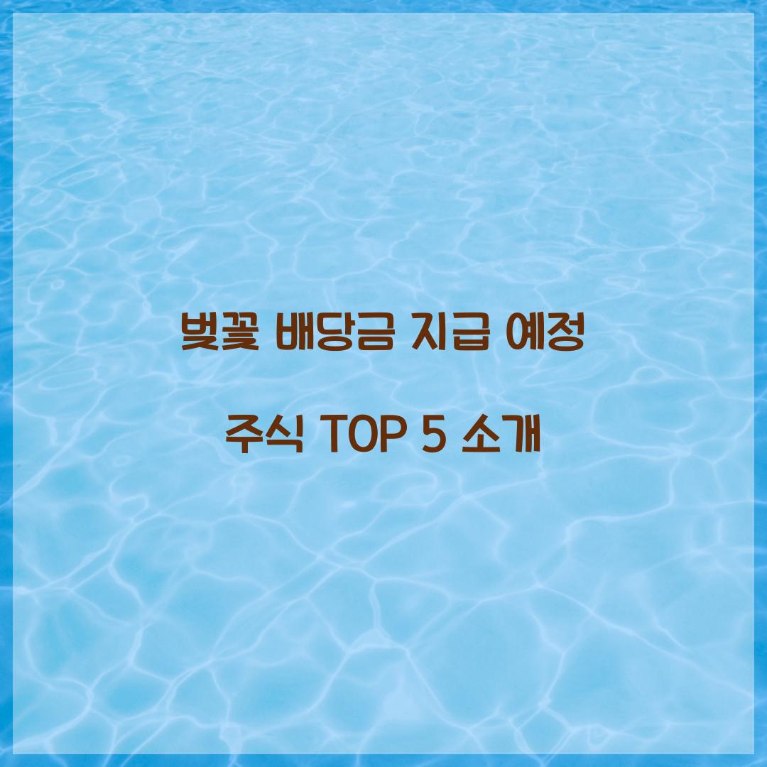 벚꽃 배당금