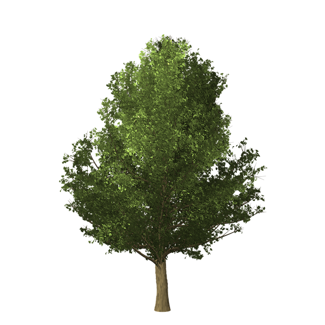 탄소배출권과 탄소국경세란? 개념정리