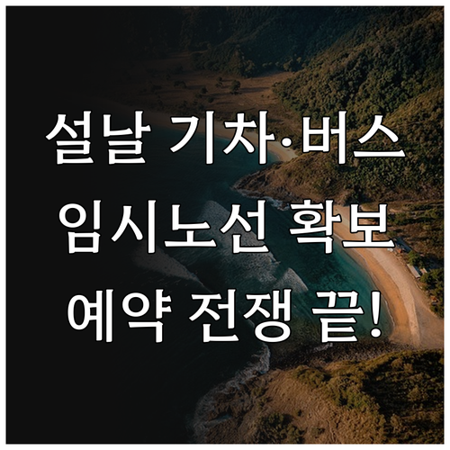 설날 특별 수송 대책 및 기차 버스 ..