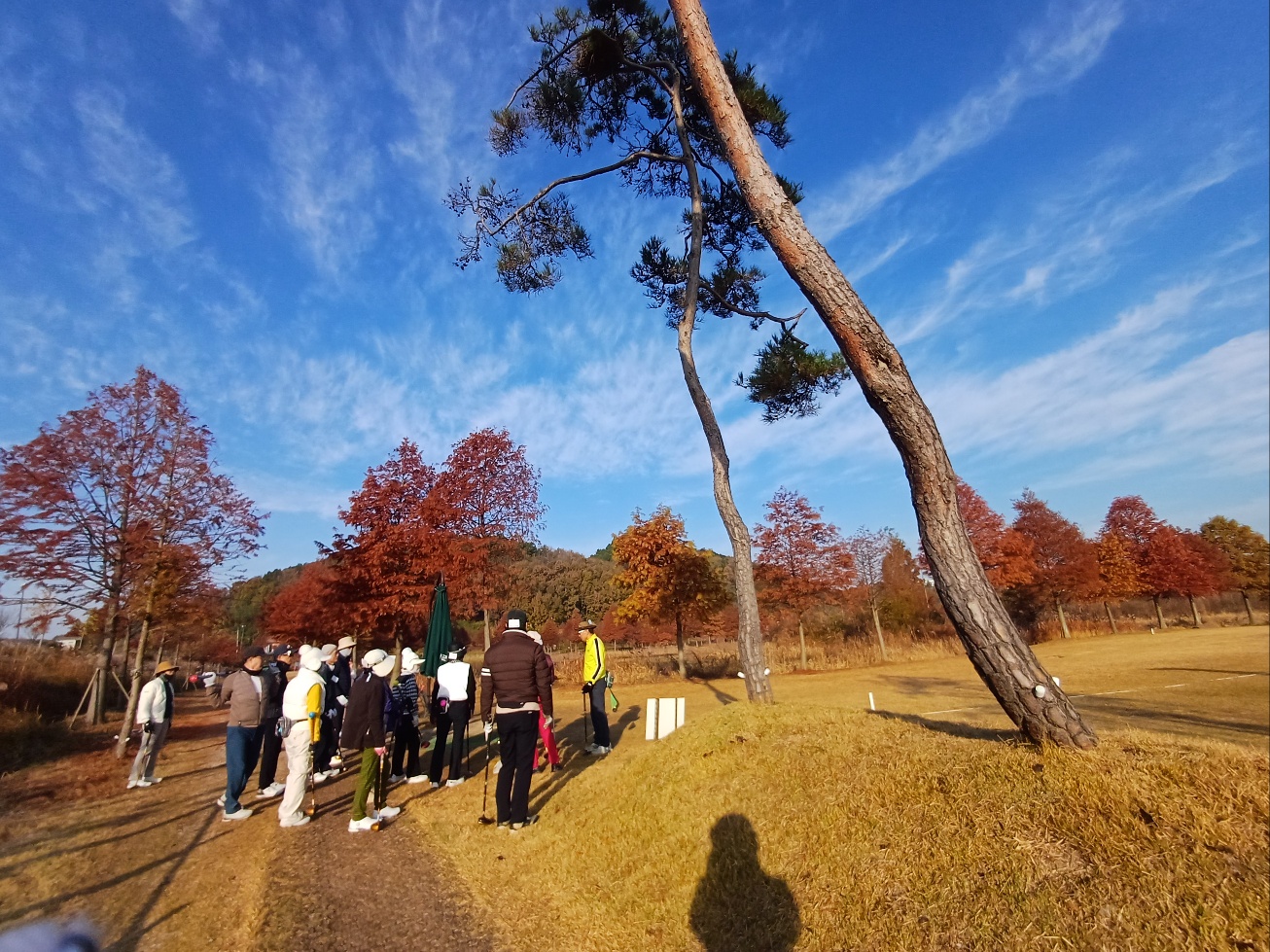 함평파크골프 예약