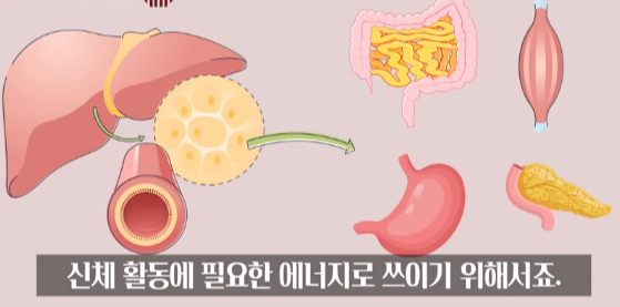 고지혈증 약 없이 건강한 혈관 만드는 법