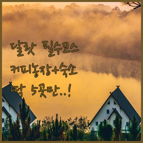 달랏 가볼만한곳 커피 농장 투어 숙소..