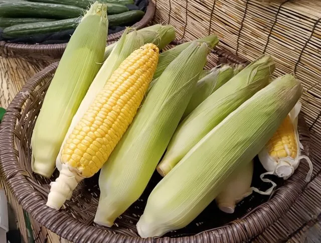 다이어트에 도움을 주는 옥수수