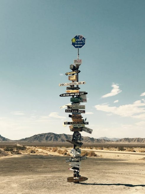 국제운전면허 신청&amp;#44; 해외 여행 전 필수 체크리스트