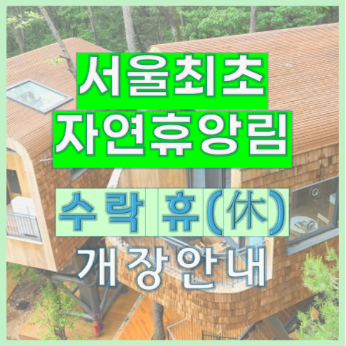 서울 최초 자연휴양림 ‘수락 휴(休)’ 개장 소식