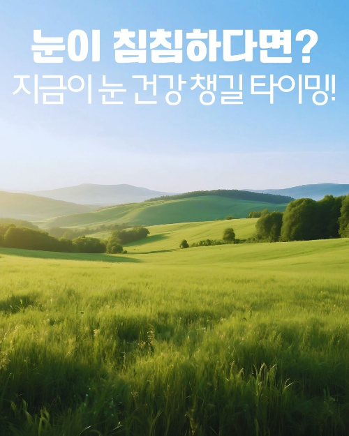 눈 건강을 위한 정보를 담은 평화로운 들판 풍경 이미지