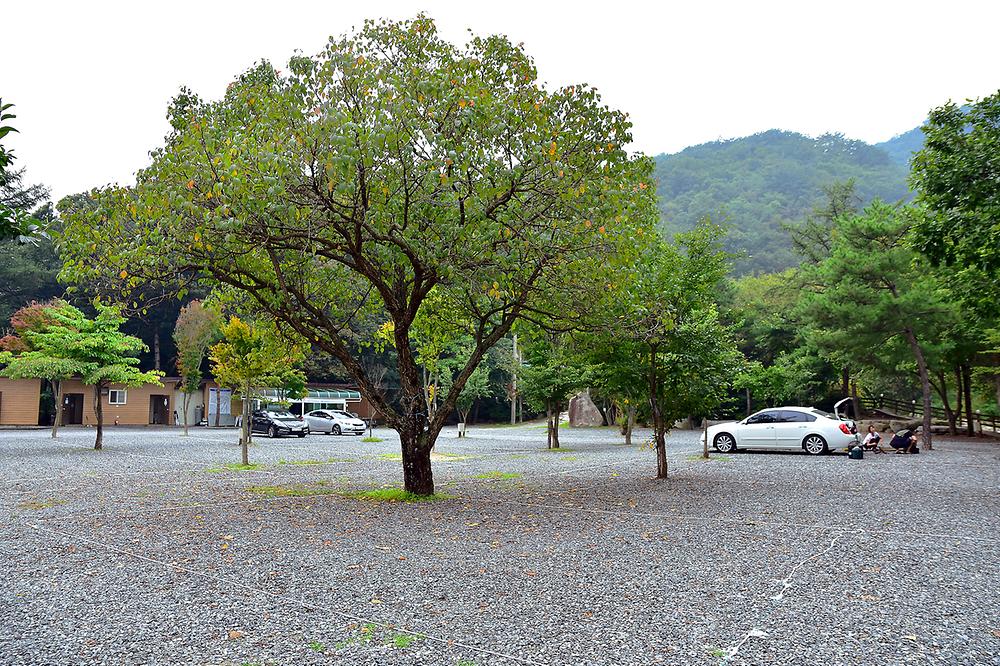 포천 계곡메사 오토캠핑장펜션