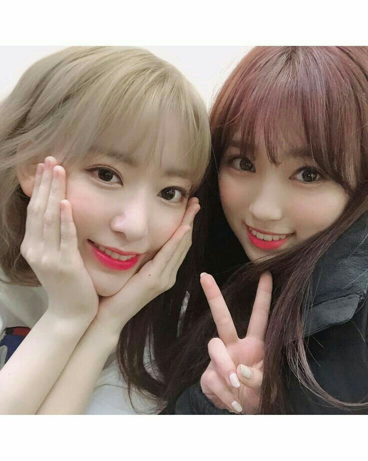 아이즈원 프로듀스48 사진 모음 아이즈원 프로듀스48 사진 모음