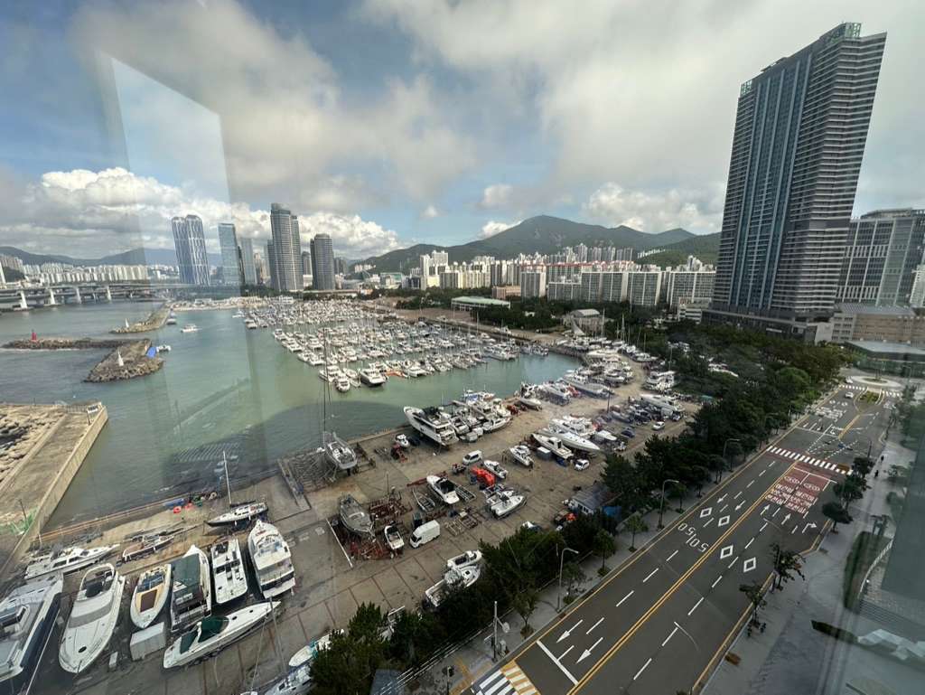 주간 요트장 뷰