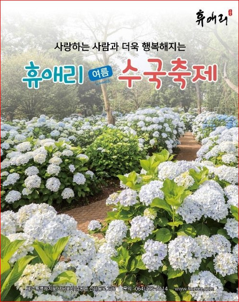 휴애리 여름 수국축제
