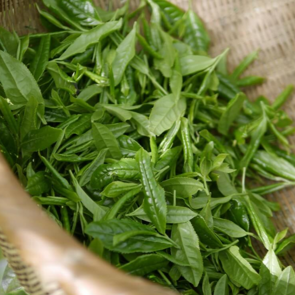 혈액순환에 좋은 음식 사진 12