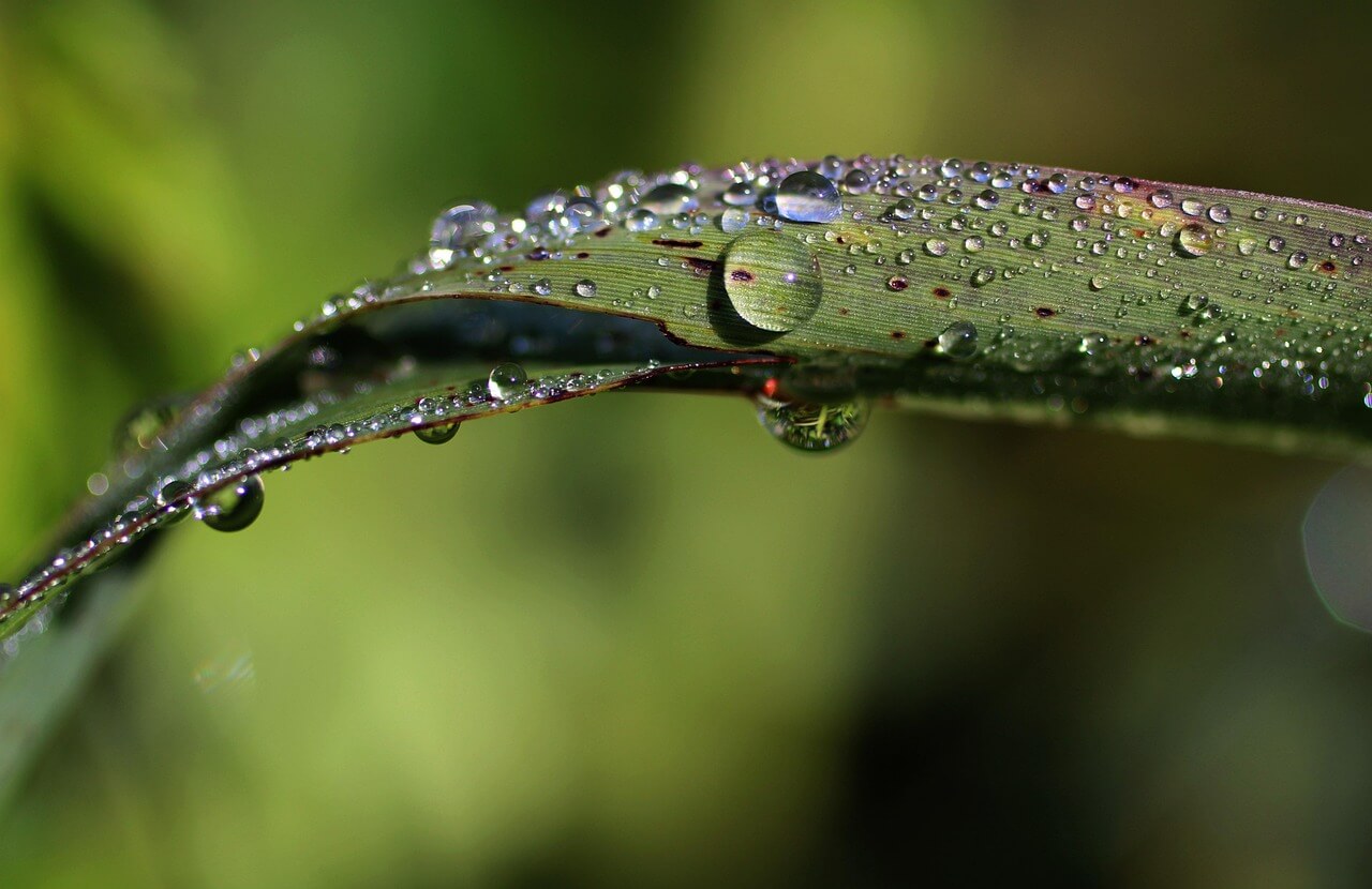 가정용 미니 건조기 후기