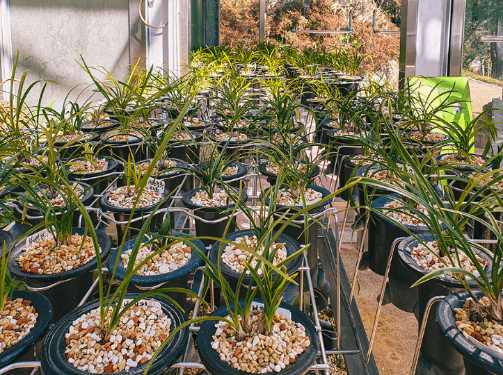 전라도여행지추천