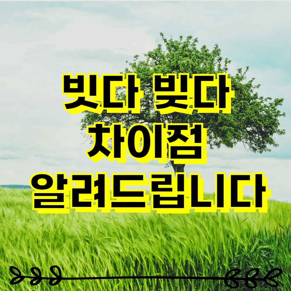 빗다 빚다 차이점 알려드립니다