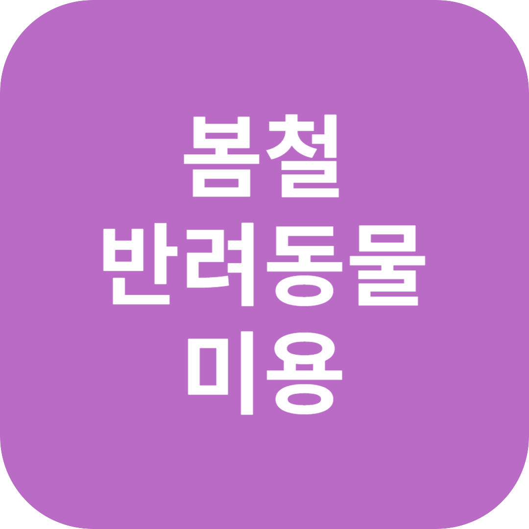 봄철 반려동물 미용 완벽 가이드! 건강하고 산뜻한 털 관리법