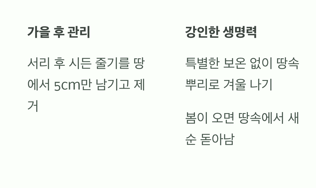 겨울을 나는 지혜, 우리 토종의 강인함