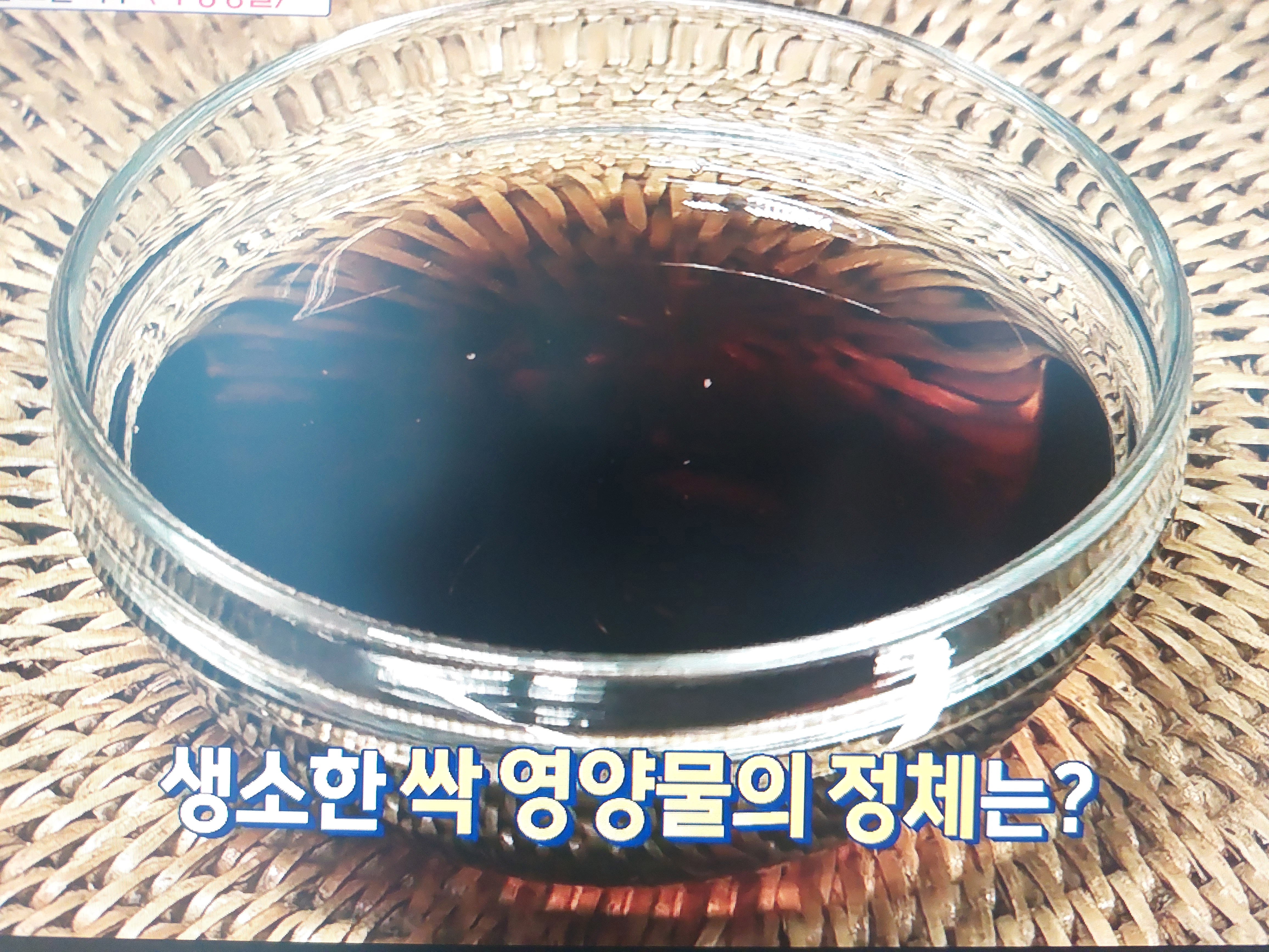 싹영양물 효능