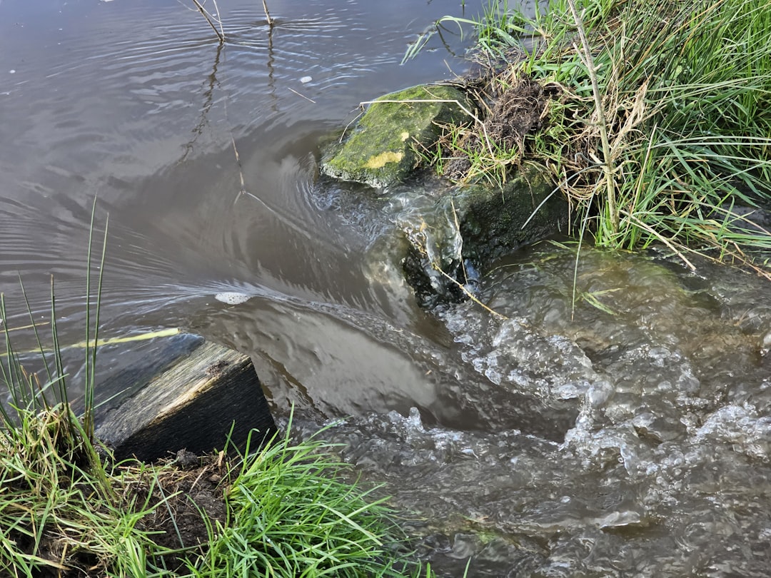Drainage