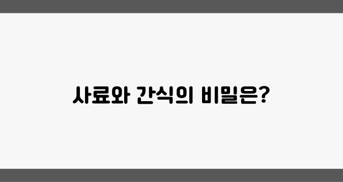 강아지를 기르는 요령: 사료와 간식에 대한 모든 정보를 알아보세요!