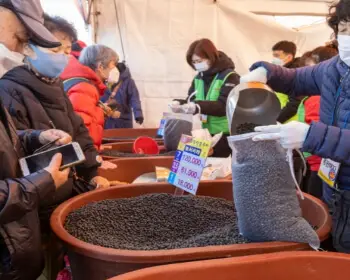 파주 장단콩축제_11