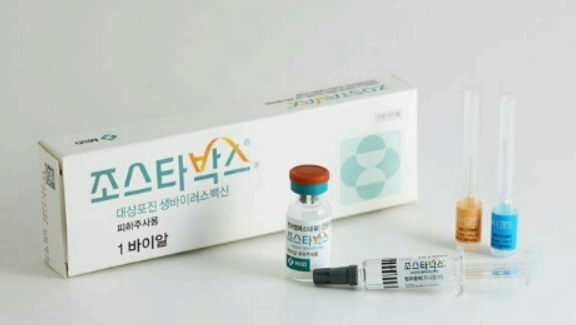 대상포진 예방접종 가격 사진