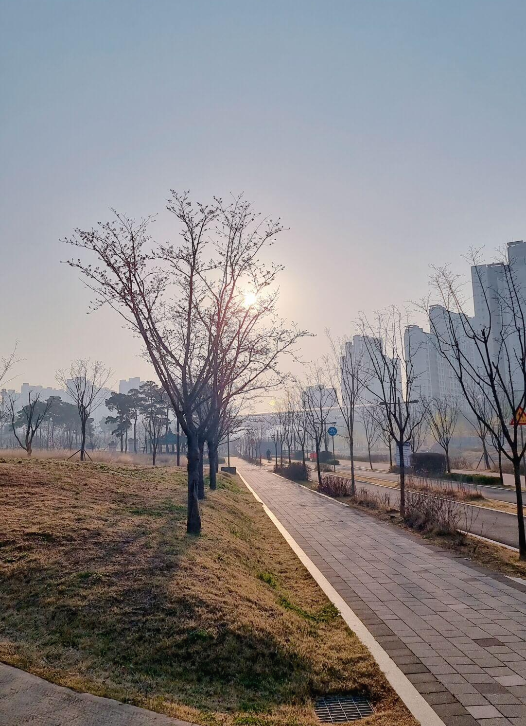 동탄2신도시 산책로길