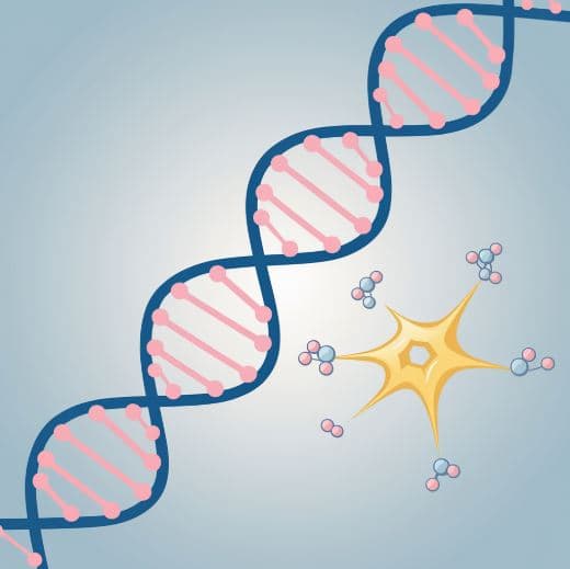 유전자와 호르몬 균형: 운동으로 극복할 수 있을까?