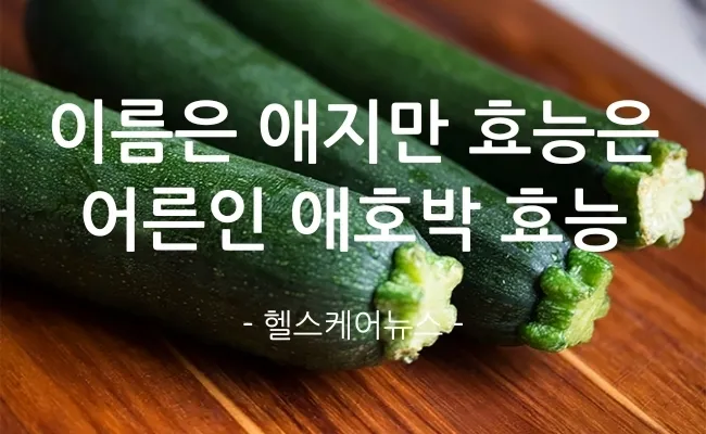 애호박 효능 여름철 보약 같은 채소 정리_2