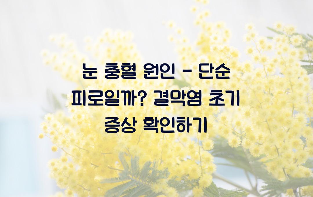 눈 충혈 원인 - 단순 피로일까? 결막염 가능성 체크!
