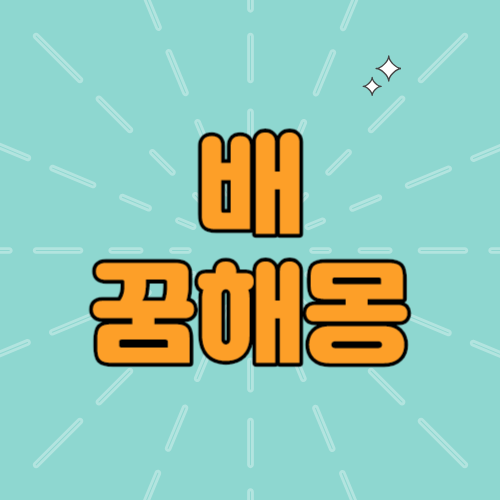 배타는꿈해몽 배꿈해몽 바다강건너는꿈 나룻배 보트타는꿈 배가전복되는꿈