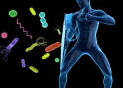 면역력을-높이는-방법-면역력에-좋은-음식-건강