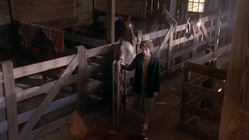 공식 포스터&스틸컷