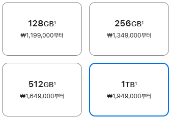 저장 용량 선택(1TB 선택)