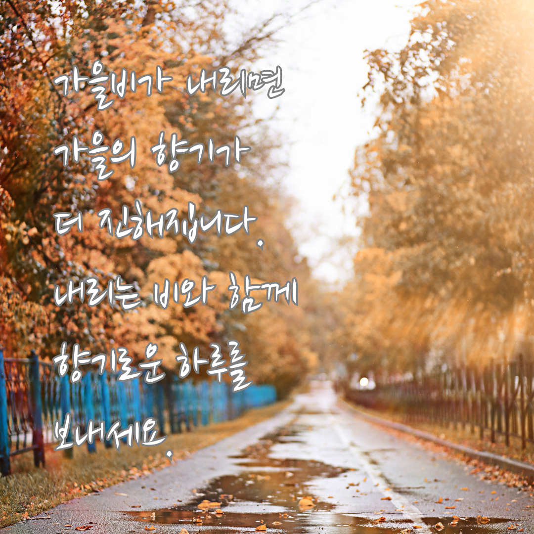 가을비 내리는 날 인사말 이미지 문구 모음