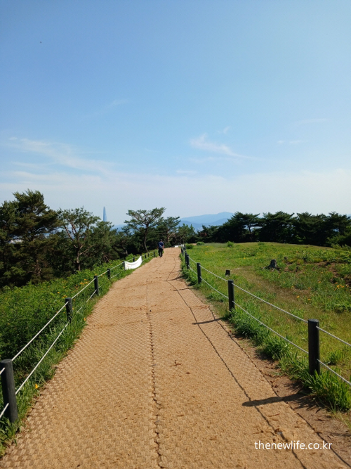 Peaceful dirt path symbolizing slow and steady belly fat loss journey/천천히 걸으며 똥배를 없애는 방법은 단계적으로, 천천히 접근하라는 상징 같은 흙길
