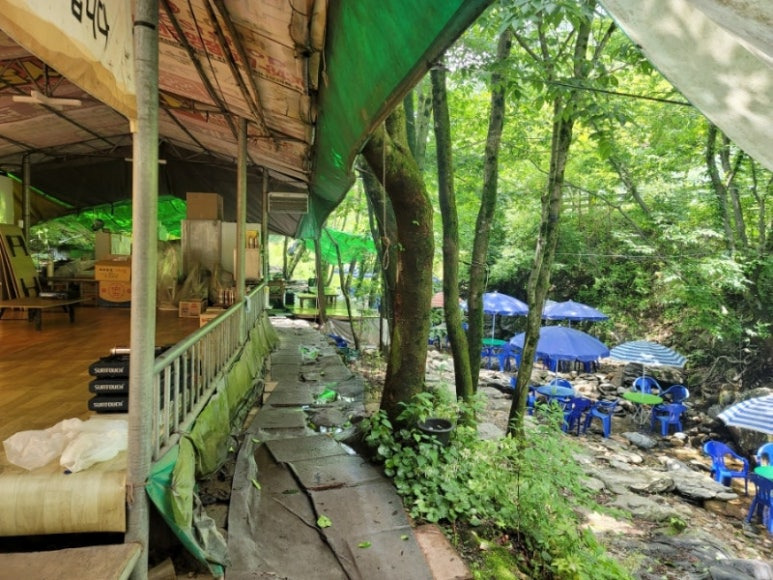 충북 진천 계곡에 맛집, 연곡가든 & 숲속커피