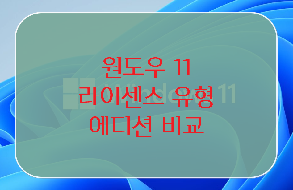 윈도우 11 라이센스 유형과 에디션 비교 안내