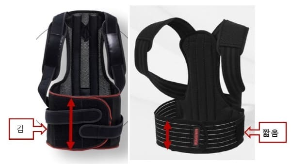 자세교정밴드비교