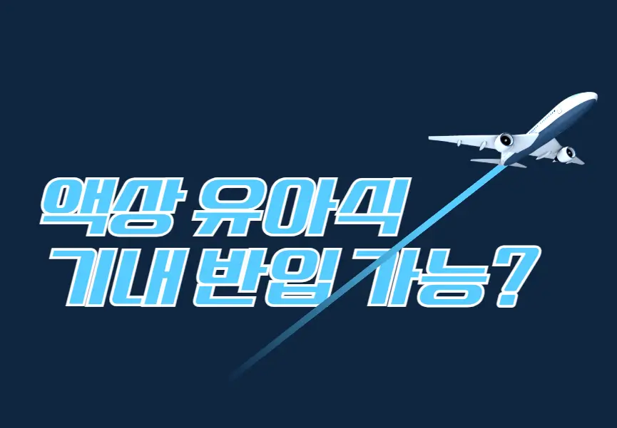 액상 유아식 기내 반입