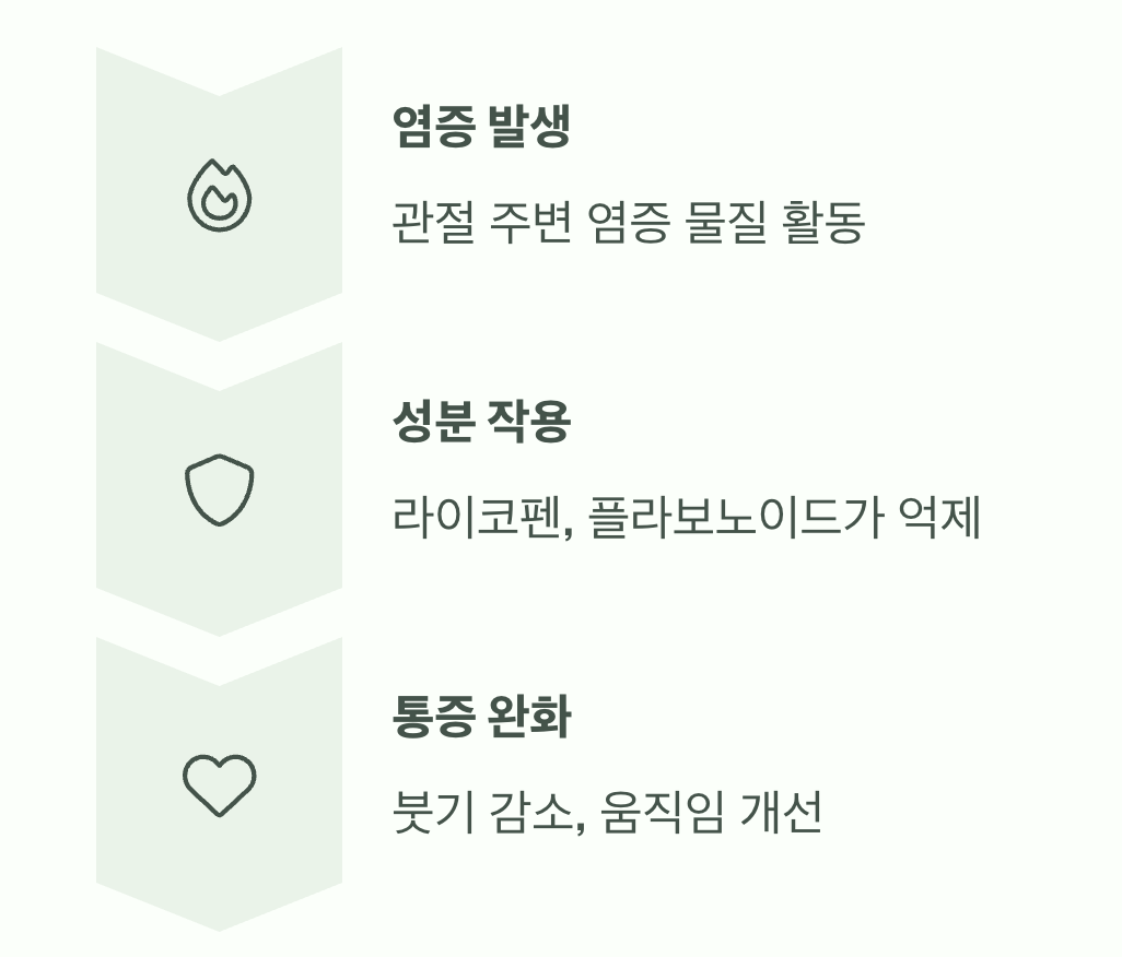 욱신거리는 관절, 염증을 잠재우다