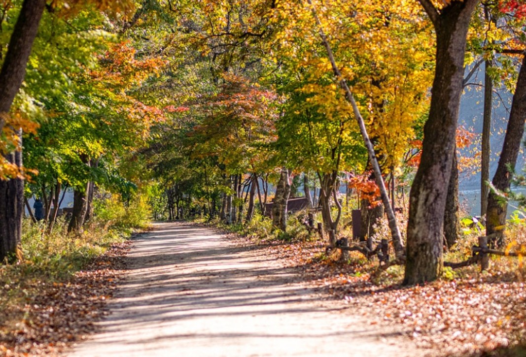 서울 근교 커플 여행지 추천! 당일치기 &amp; 1박2일 코스