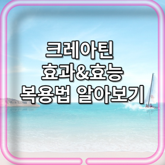 크레아틴 효과&효능 복용방법