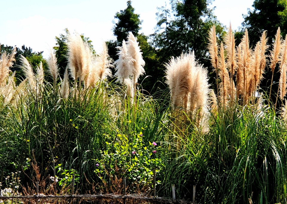 태안반도 추천여행지
