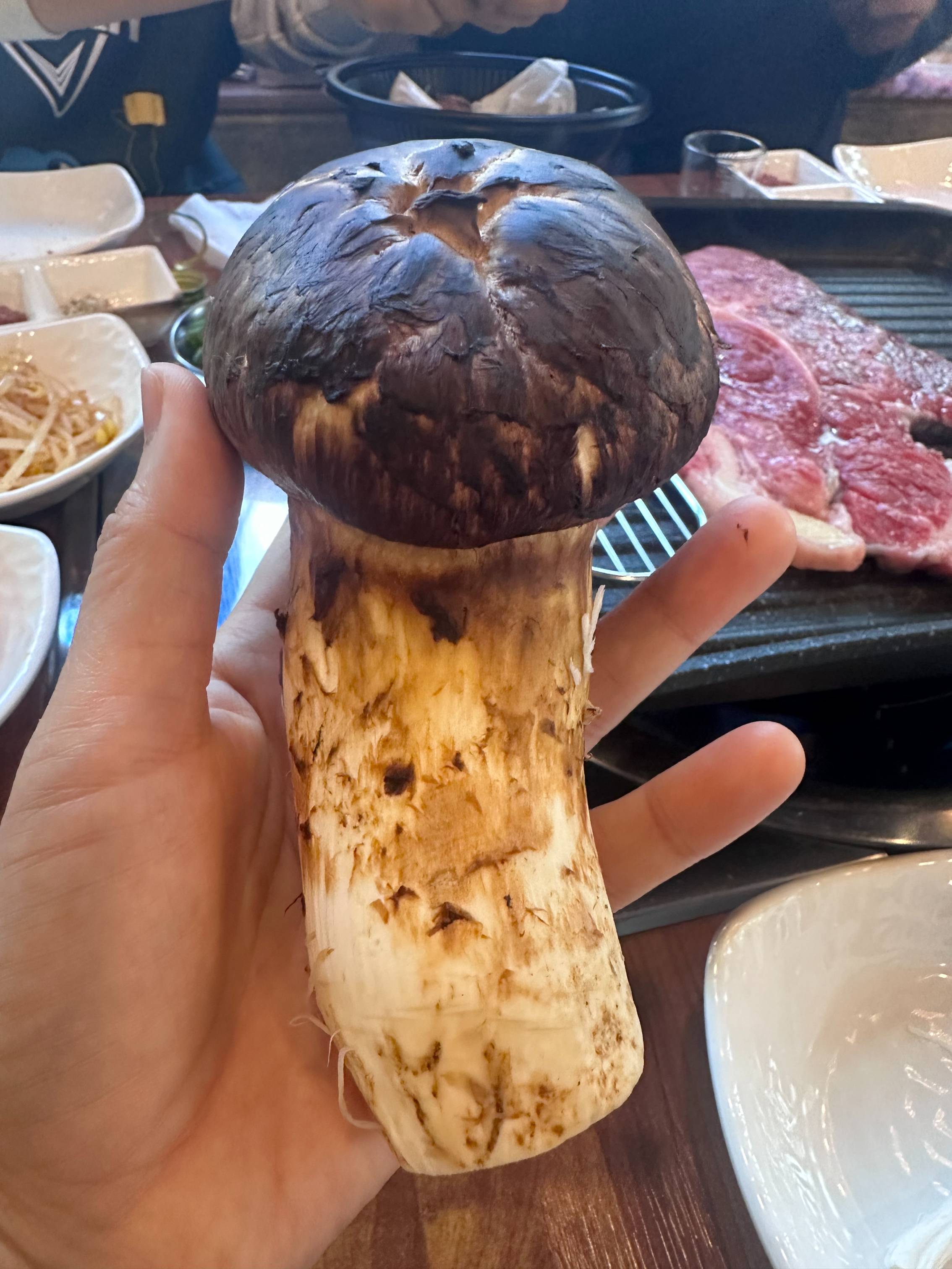 자연산 송이버섯 보관법 완벽정리｜향과 식감 그대로 오래 보관하는 비결