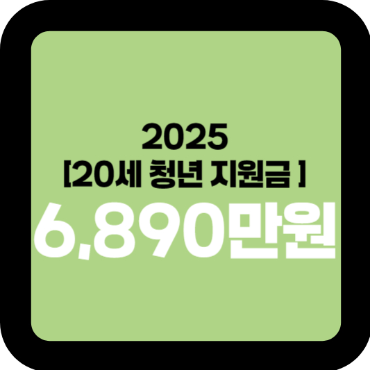2025년 청년이 받을 수 있는 돈 총정리 약 6,890만원