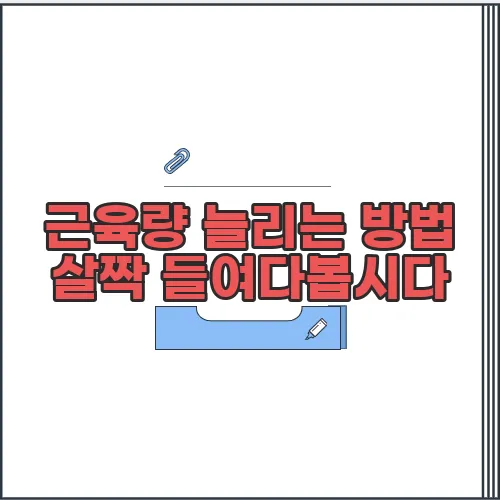 근육량 늘리는 방법 살짝 들여다봅시다