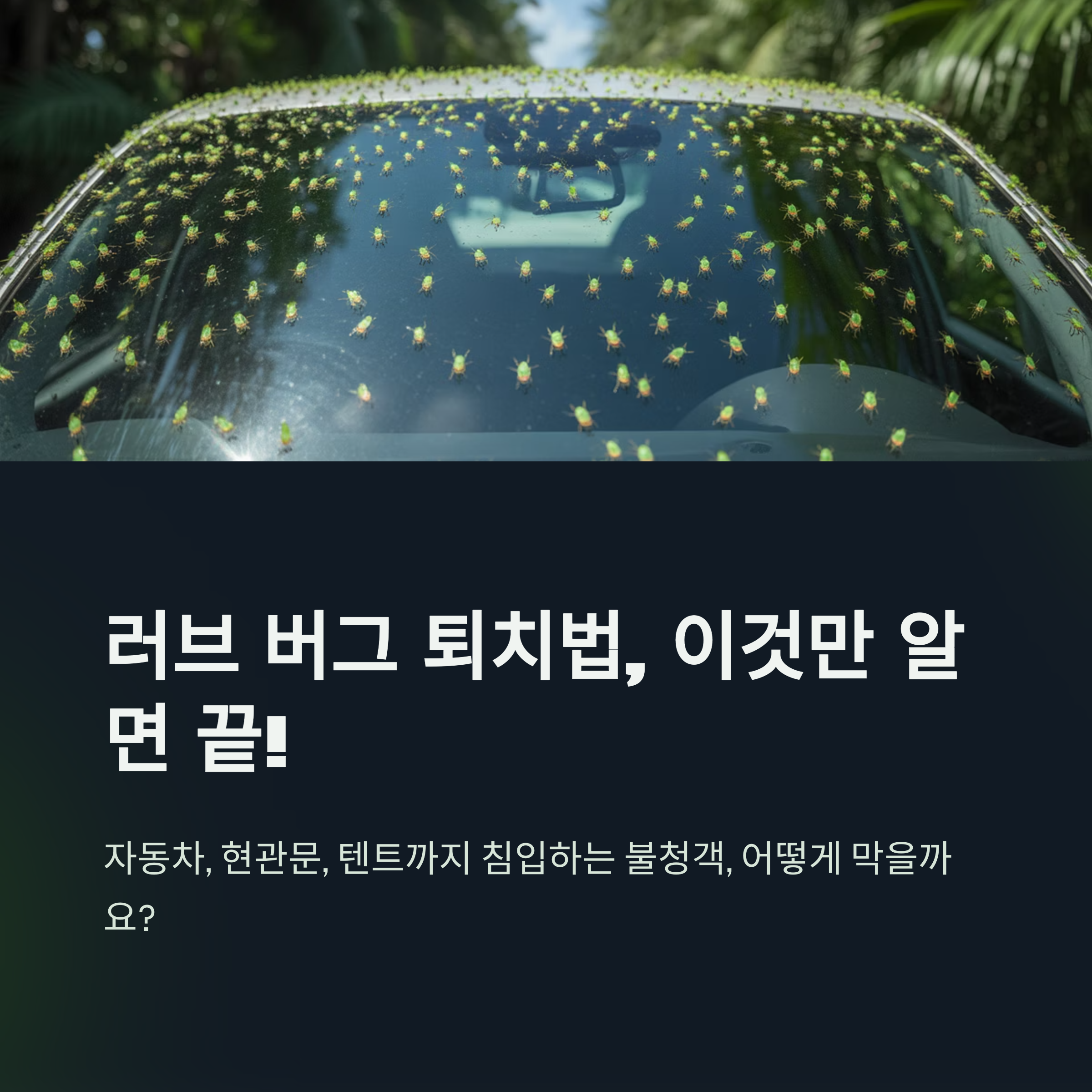 러브 버그 퇴치법, 2025년 실내·야외 완벽 대응 가이드