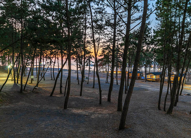 태안군 어은돌 송림캠핑장 소개