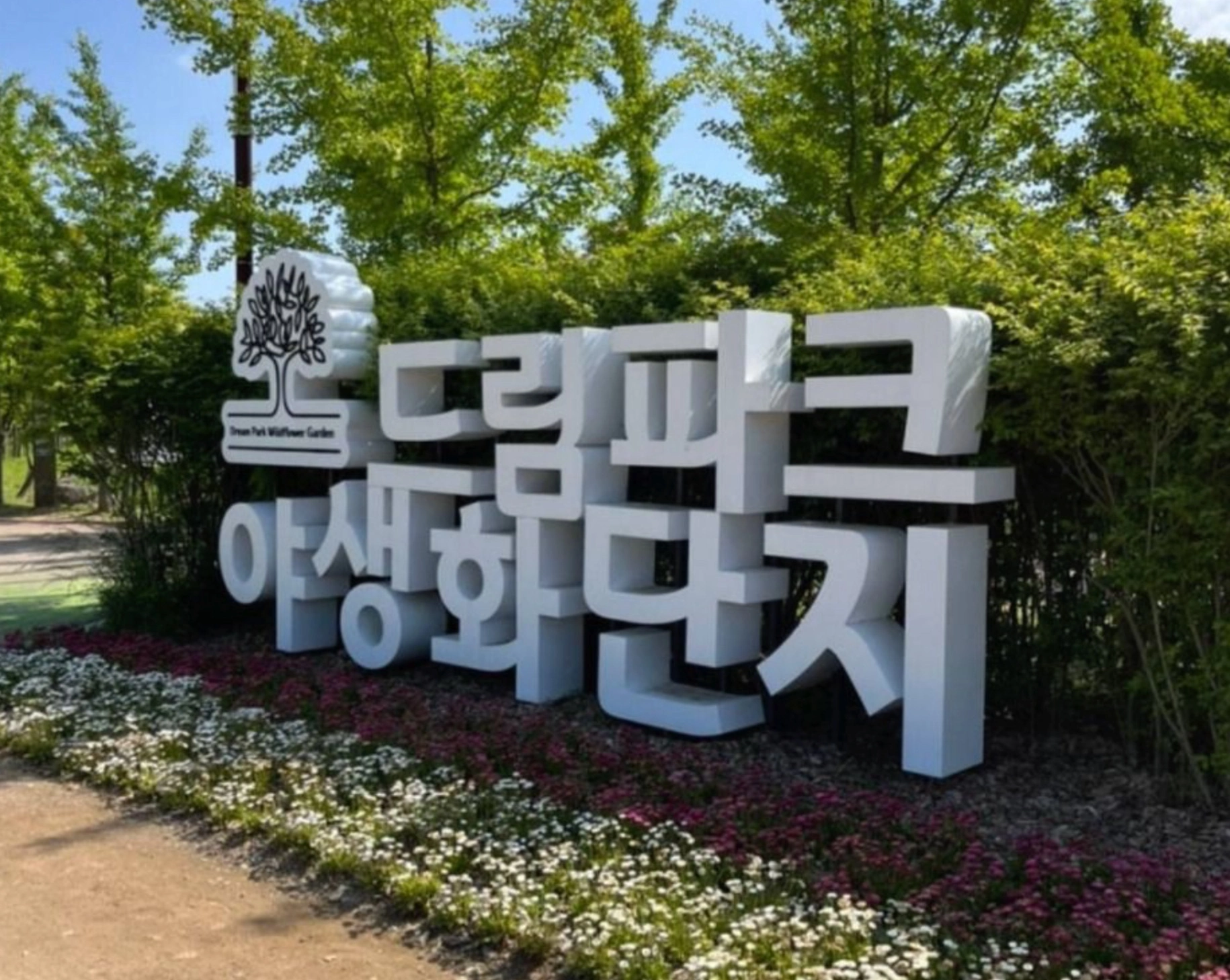 인천 드림파크 벚꽃축제