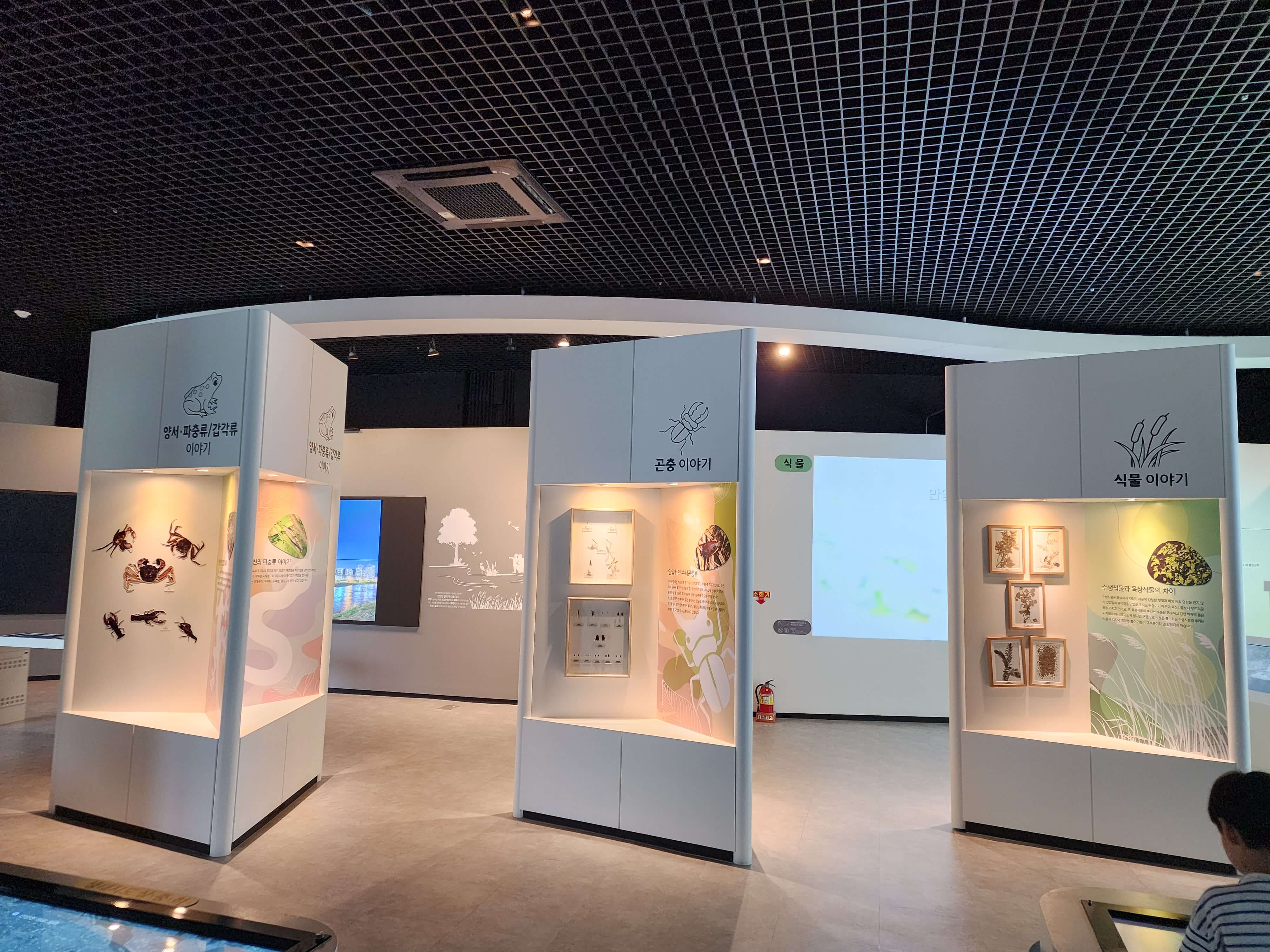 제2전시관 내부 파충류 곤충 식물 설명